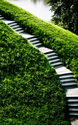 Green steps